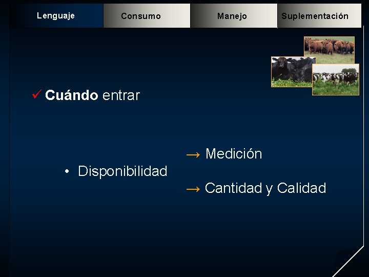 Lenguaje Consumo Manejo Suplementación ü Cuándo entrar → Medición • Disponibilidad → Cantidad y