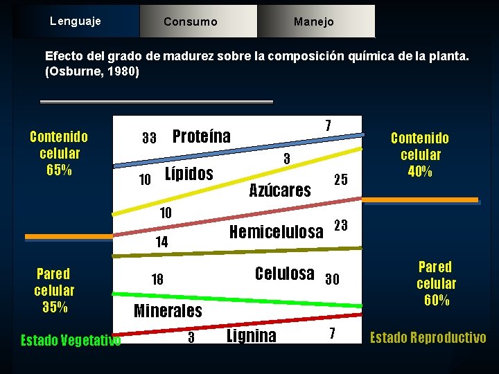 Lenguaje Consumo Manejo Efecto del grado de madurez sobre la composición química de la