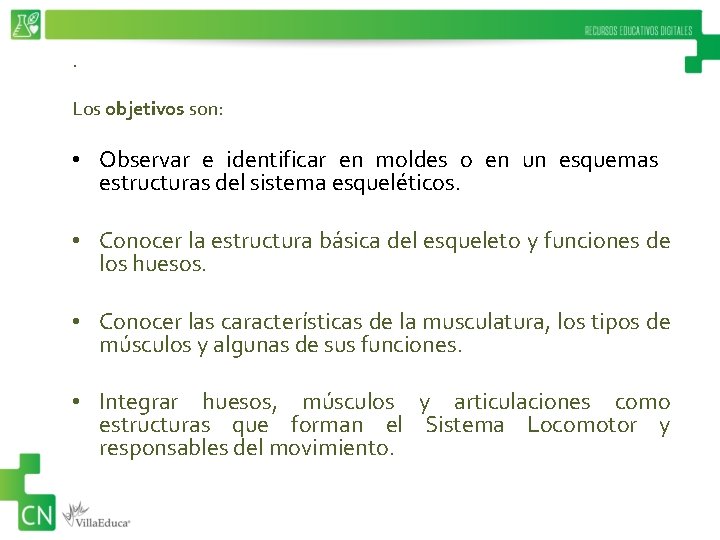 . Los objetivos son: • Observar e identificar en moldes o en un esquemas