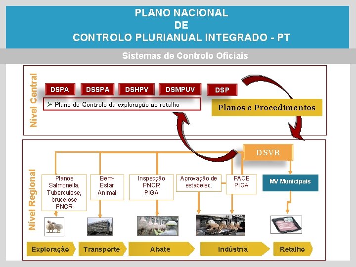 PLANO NACIONAL DE CONTROLO PLURIANUAL INTEGRADO - PT Nível Central Sistemas de Controlo Oficiais