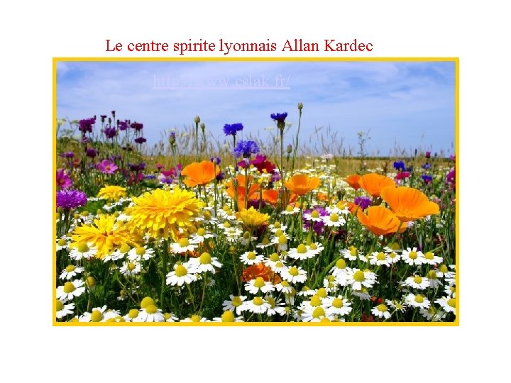 Le centre spirite lyonnais Allan Kardec http: //www. cslak. fr/ 