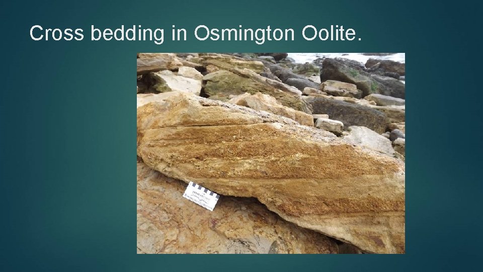 Cross bedding in Osmington Oolite. 