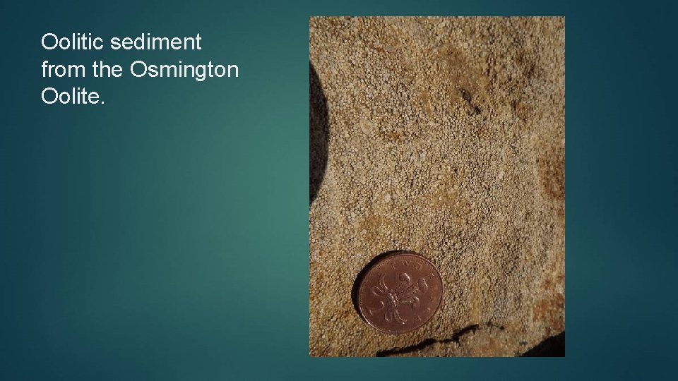 Oolitic sediment from the Osmington Oolite. 