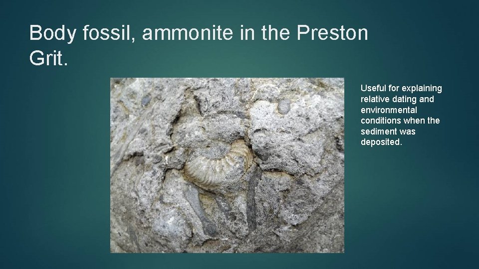 Body fossil, ammonite in the Preston Grit. Useful for explaining relative dating and environmental