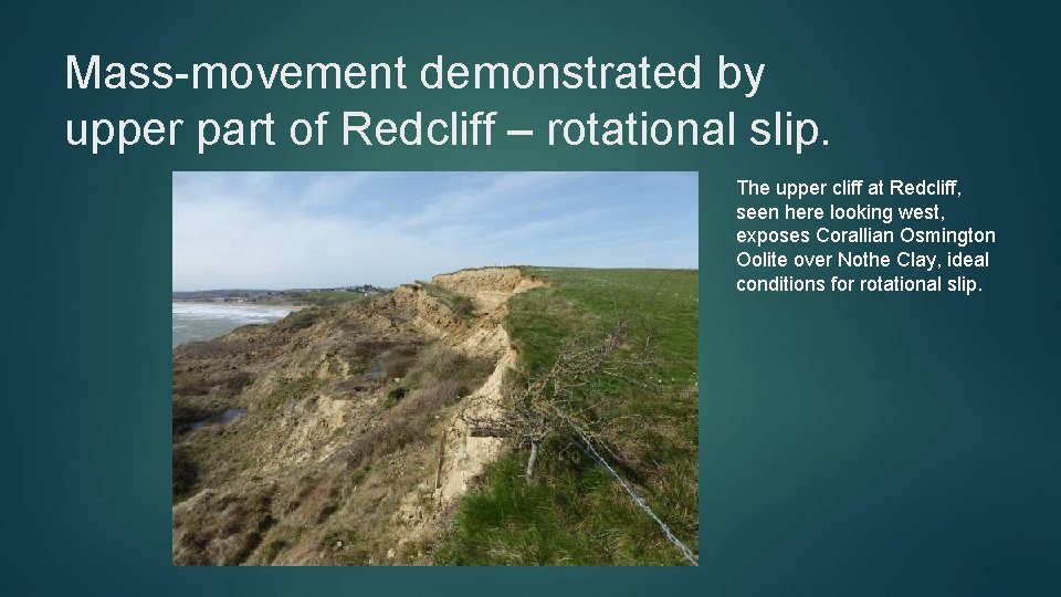 Mass-movement demonstrated by upper part of Redcliff – rotational slip. The upper cliff at