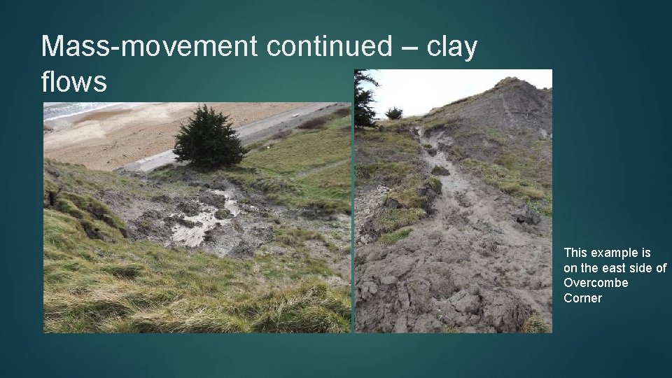 Mass-movement continued – clay flows This example is on the east side of Overcombe