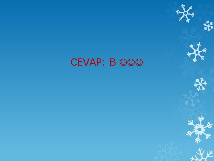 CEVAP: B 