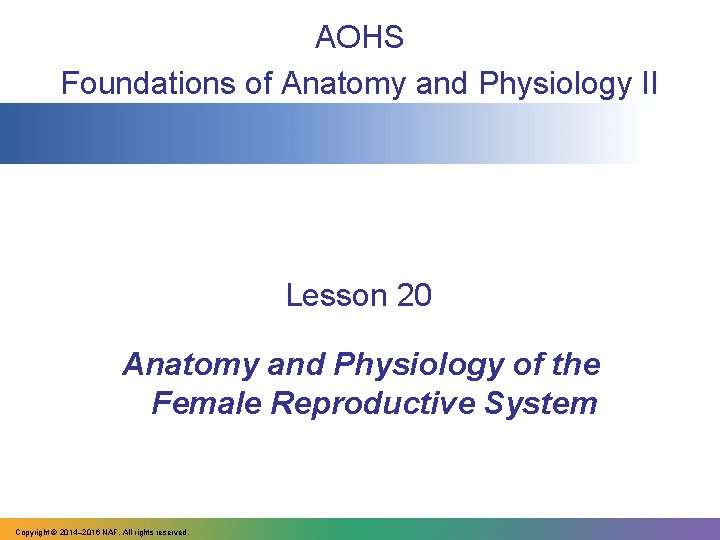 AOHS Foundations of Anatomy and Physiology II Lesson 20 Anatomy and Physiology of the