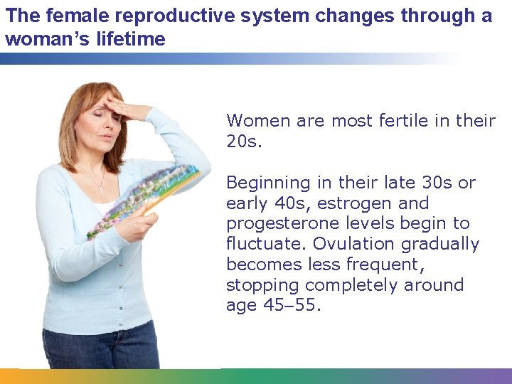 The female reproductive system changes through a woman’s lifetime Women are most fertile in
