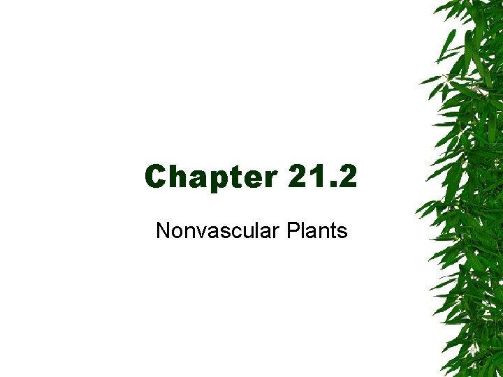 Chapter 21. 2 Nonvascular Plants 
