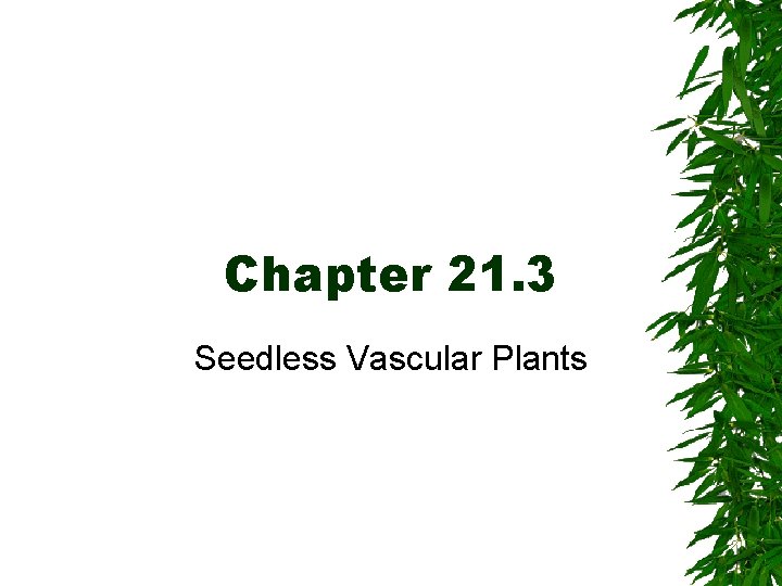 Chapter 21. 3 Seedless Vascular Plants 