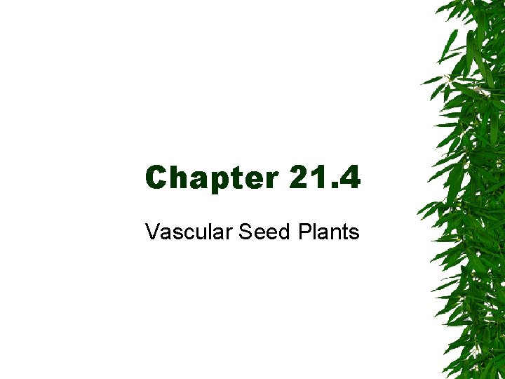 Chapter 21. 4 Vascular Seed Plants 
