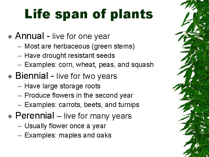 Life span of plants Annual - live for one year – Most are herbaceous