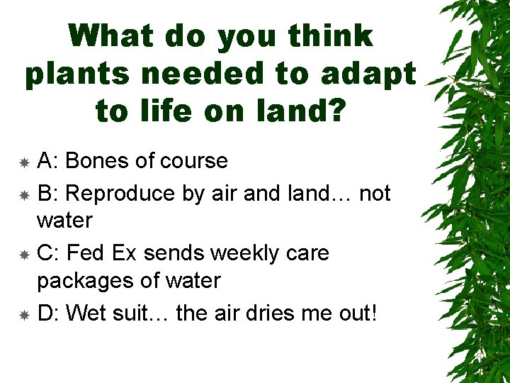 What do you think plants needed to adapt to life on land? A: Bones