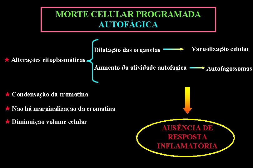 MORTE CELULAR PROGRAMADA AUTOFÁGICA Dilatação das organelas Vacuolização celular Alterações citoplasmáticas Aumento da atividade