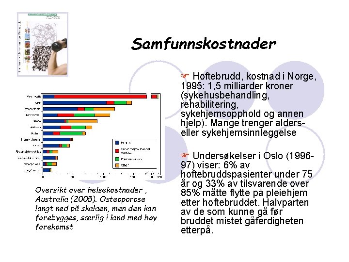 Samfunnskostnader F Hoftebrudd, kostnad i Norge, 1995: 1, 5 milliarder kroner (sykehusbehandling, rehabilitering, sykehjemsopphold