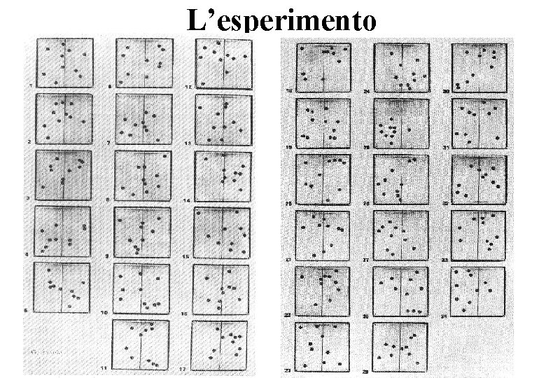 L’esperimento 