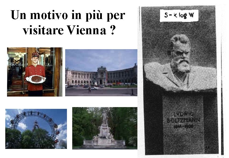 Un motivo in più per visitare Vienna ? 44 