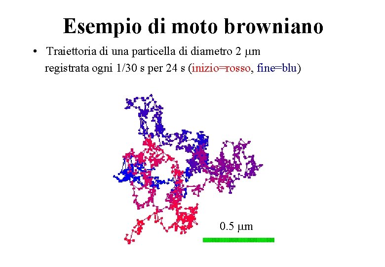 Esempio di moto browniano • Traiettoria di una particella di diametro 2 mm registrata