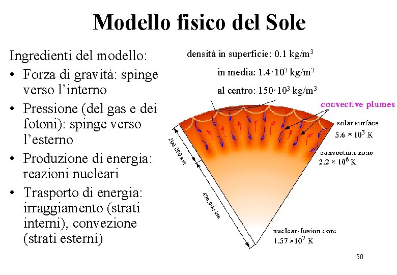Modello fisico del Sole Ingredienti del modello: • Forza di gravità: spinge verso l’interno