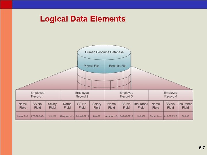 Logical Data Elements 5 -7 