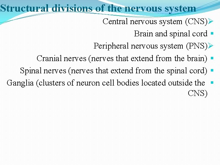 Structural divisions of the nervous system Central nervous system (CNS)Ø Brain and spinal cord