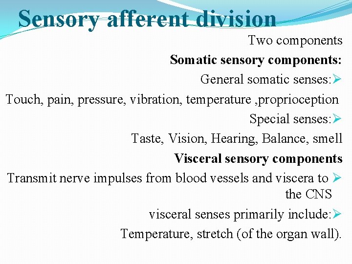 Sensory afferent division Two components Somatic sensory components: General somatic senses: Ø Touch, pain,