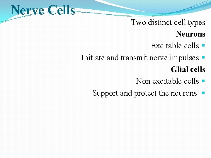 Nerve Cells Two distinct cell types Neurons Excitable cells § Initiate and transmit nerve
