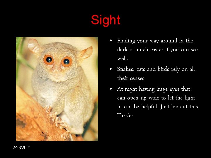 Sight • Finding your way around in the dark is much easier if you Sight • Finding your way around in the dark is much easier if you