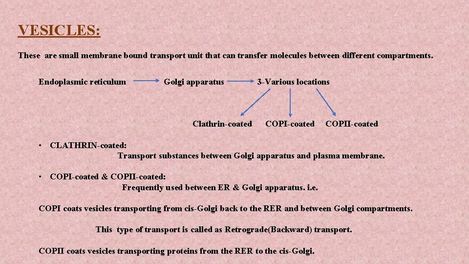 VESICLES: These are small membrane bound transport unit that can transfer molecules between different