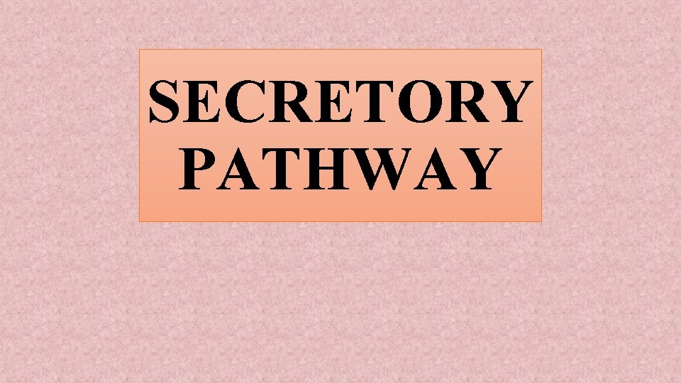 SECRETORY PATHWAY 