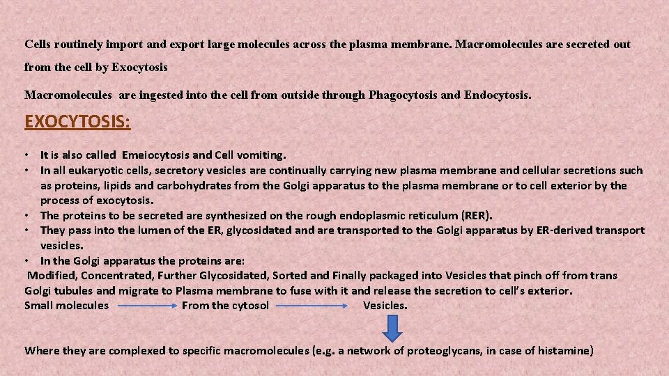 Cells routinely import and export large molecules across the plasma membrane. Macromolecules are secreted