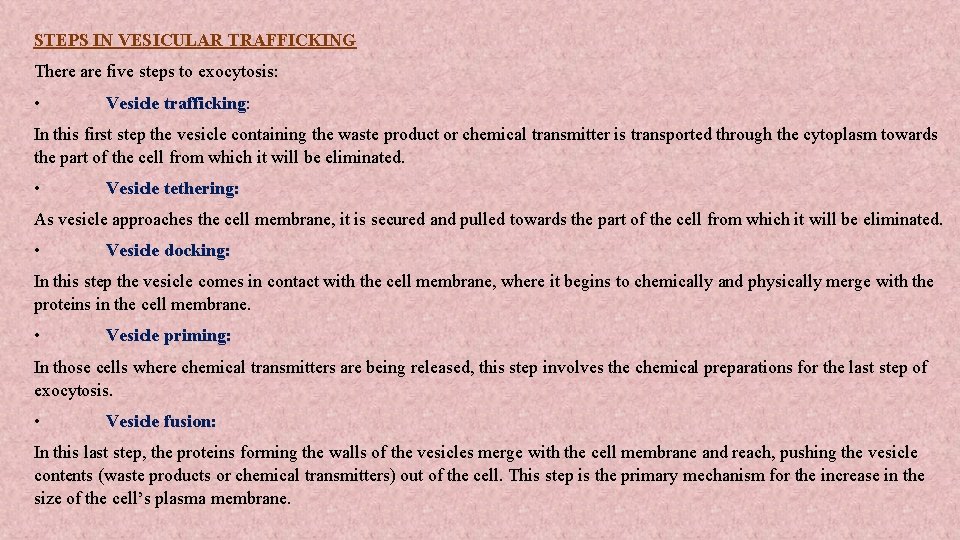 STEPS IN VESICULAR TRAFFICKING There are five steps to exocytosis: • Vesicle trafficking: In