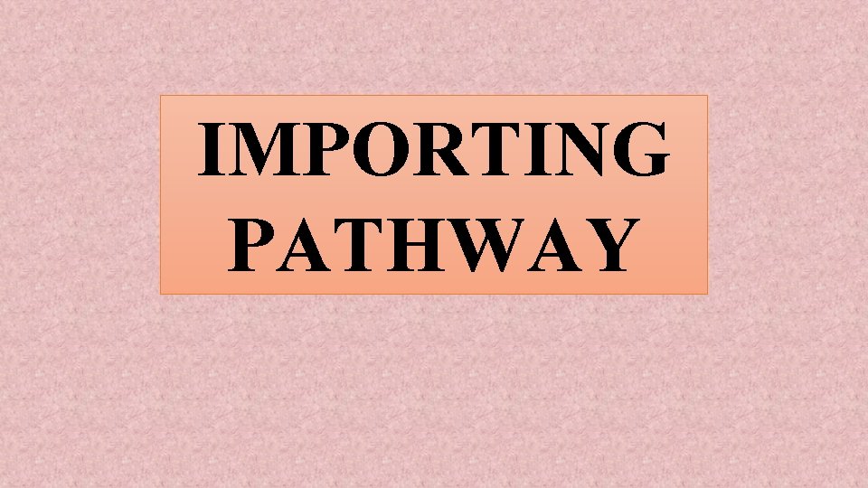 IMPORTING PATHWAY 