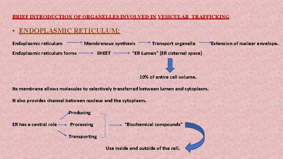 BRIEF INTRODUCTION OF ORGANELLES INVOLVED IN VESICULAR TRAFFICKING • ENDOPLASMIC RETICULUM: Endoplasmic reticulum Membranous