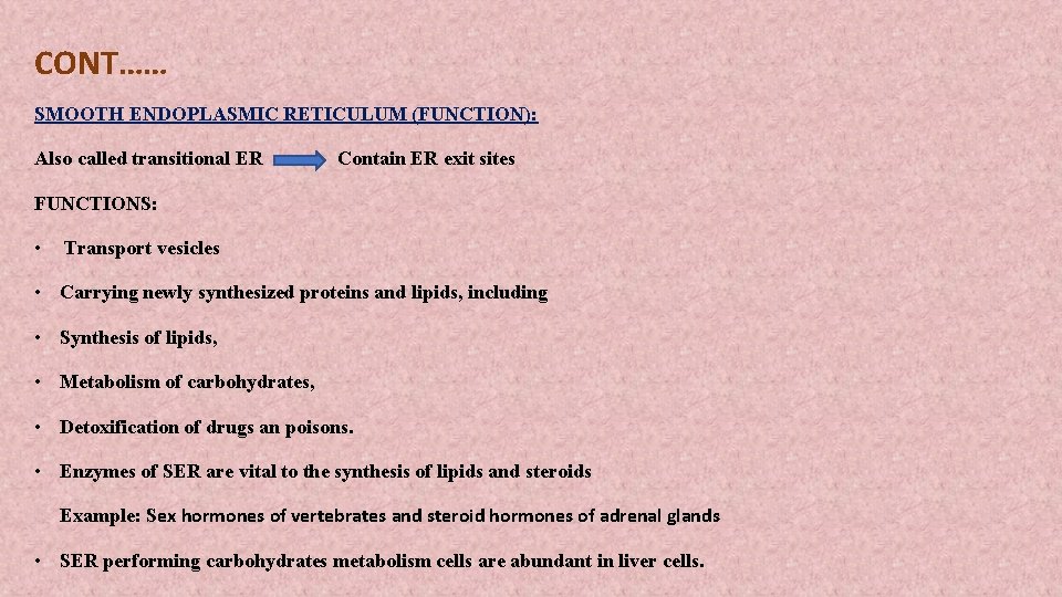 CONT…… SMOOTH ENDOPLASMIC RETICULUM (FUNCTION): Also called transitional ER Contain ER exit sites FUNCTIONS: