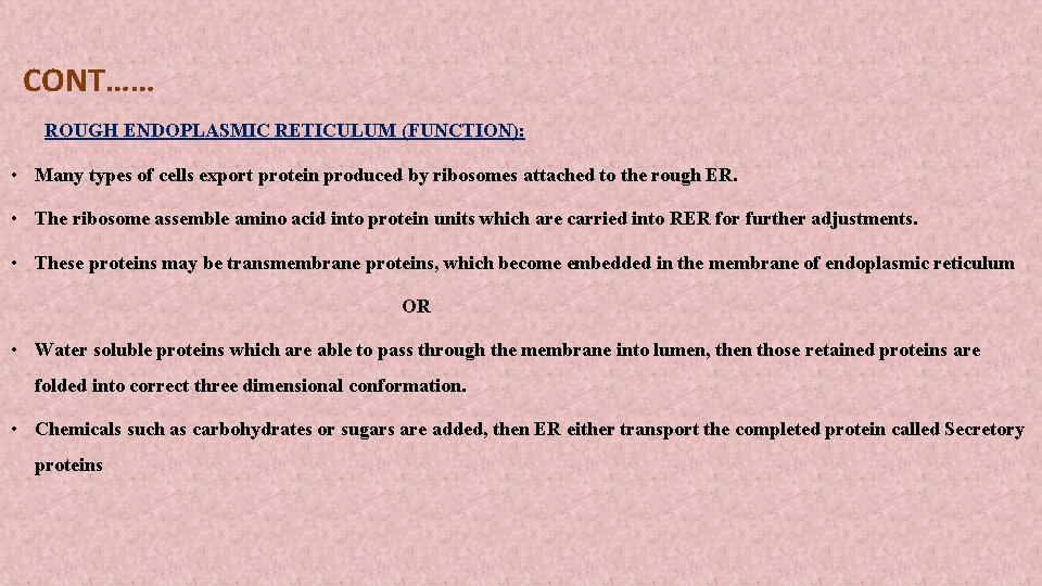 CONT…… ROUGH ENDOPLASMIC RETICULUM (FUNCTION): • Many types of cells export protein produced by