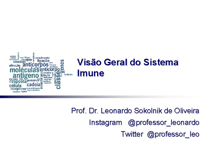 Visão Geral do Sistema Imune Prof. Dr. Leonardo Sokolnik de Oliveira Instagram @professor_leonardo Twitter