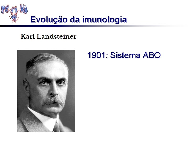 Evolução da imunologia 1901: Sistema ABO 