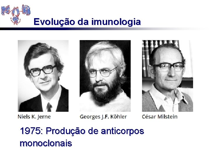 Evolução da imunologia 1975: Produção de anticorpos monoclonais 