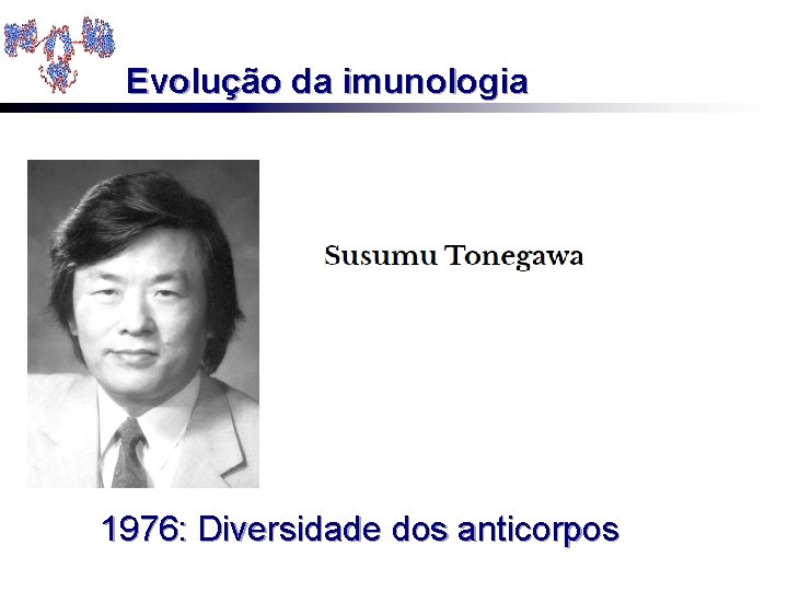 Evolução da imunologia 1976: Diversidade dos anticorpos 