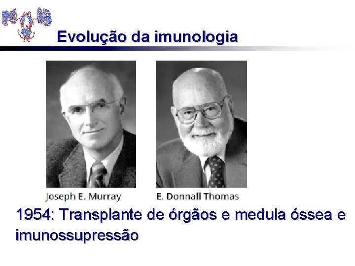 Evolução da imunologia 1954: Transplante de órgãos e medula óssea e imunossupressão 