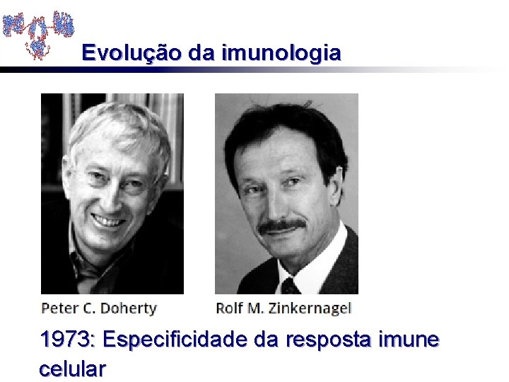 Evolução da imunologia 1973: Especificidade da resposta imune celular 