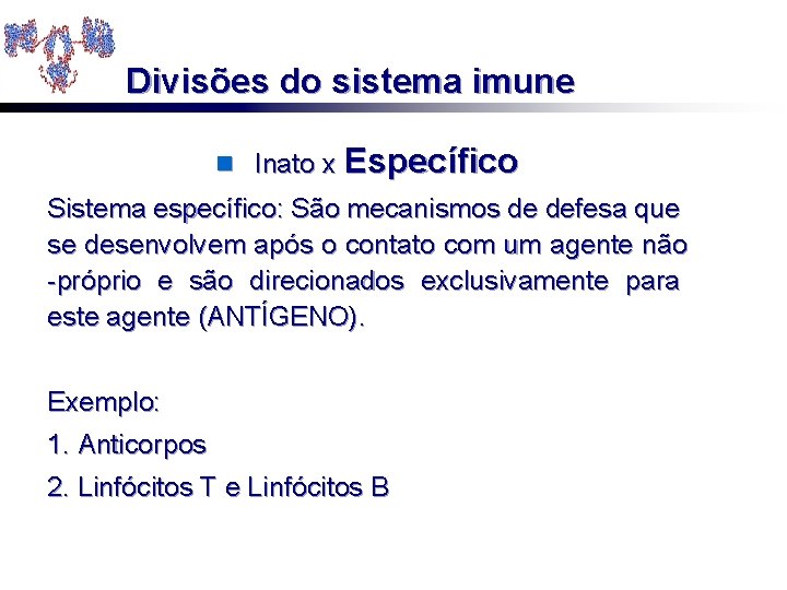 Divisões do sistema imune n Inato x Específico Sistema específico: São mecanismos de defesa