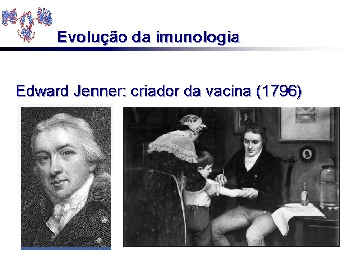 Evolução da imunologia Edward Jenner: criador da vacina (1796) 
