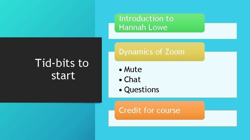 Introduction to Hannah Lowe Dynamics of Zoom Tid-bits to start • Mute • Chat