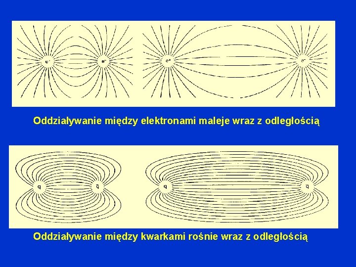 Oddziaływanie między elektronami maleje wraz z odległością Oddziaływanie między kwarkami rośnie wraz z odległością