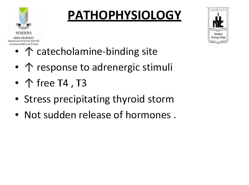 PATHOPHYSIOLOGY • • • ↑ catecholamine-binding site ↑ response to adrenergic stimuli ↑ free