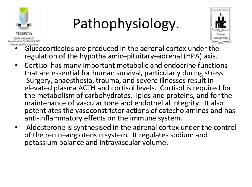 Pathophysiology. • Glucocorticoids are produced in the adrenal cortex under the regulation of the