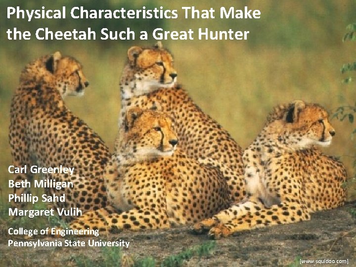 Physical Characteristics That Make the Cheetah Such a Great Hunter Carl Greenley Beth Milligan